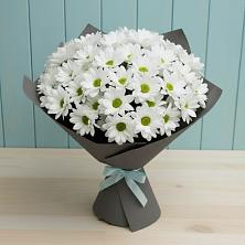 Букет цветов из:  Хризантемы в Серебряных Прудах