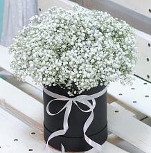 Цветочная композиция из Гипсофила в шляпной коробке #REPLACE_PRED# Серебряных Прудах