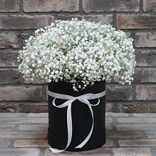 Цветочная композиция из Гипсофила в шляпной коробке #REPLACE_PRED# Серебряных Прудах