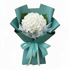 Букет цветов из:  Гортензия в Серебряных Прудах